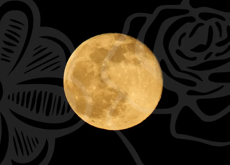 신굿