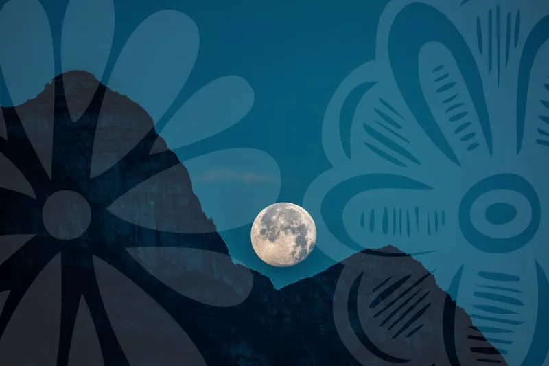 모두투어홈페이지