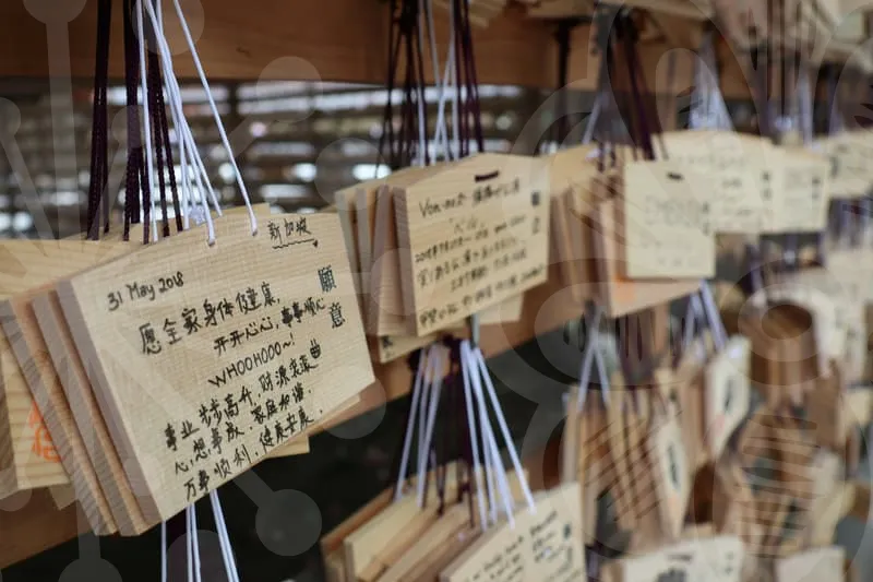 손해사정사자격증