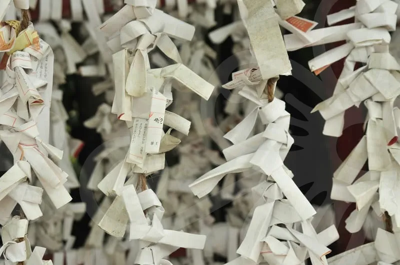 유니버셜타로카드