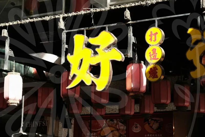 인터넷무료타로점