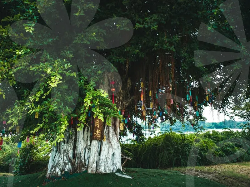 인터넷사주팔자