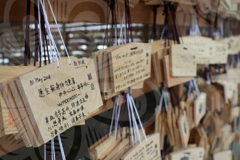 무료사주궁합사이트