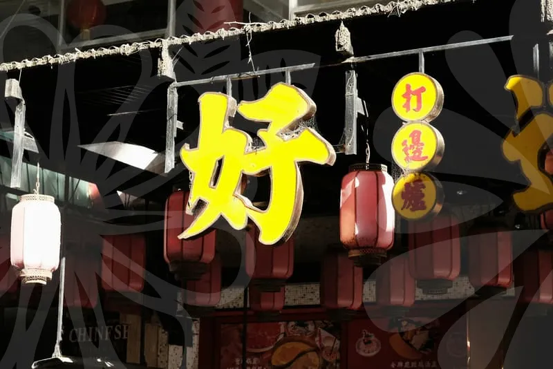 여자변호사
