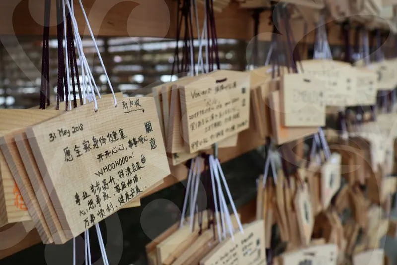 오늘의운세