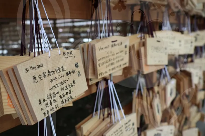 개띠운세