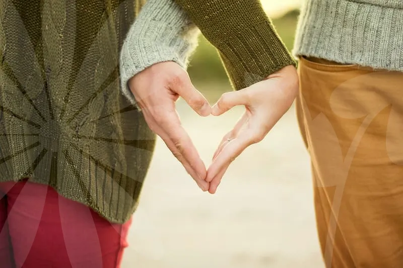 후리지아꽃배달