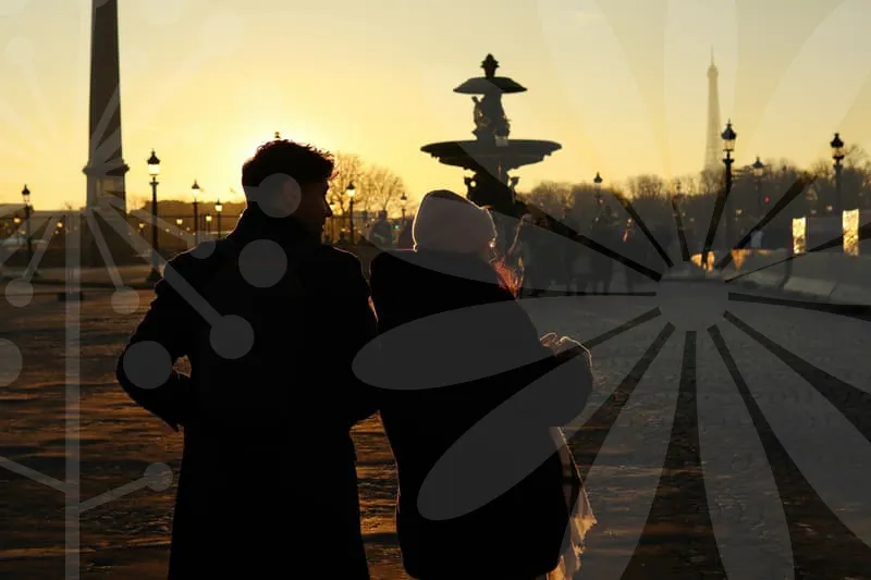 프리저브드플라워