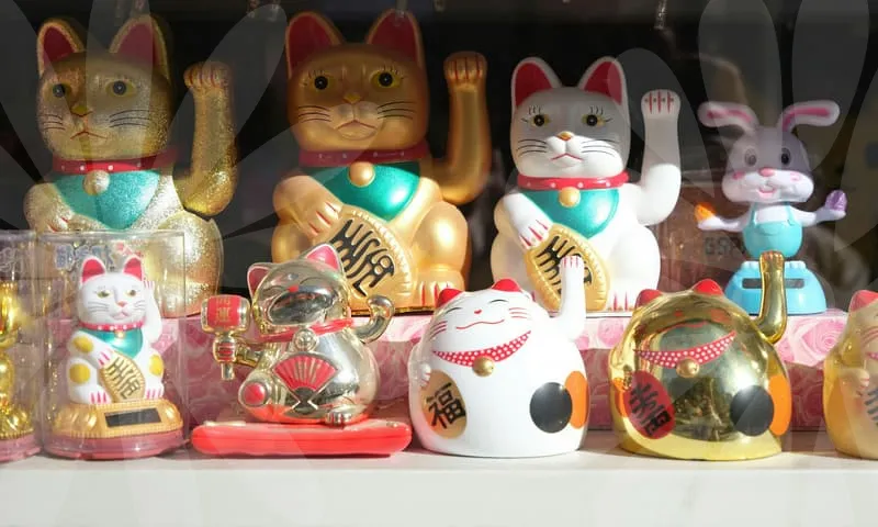 암보험비교사이트