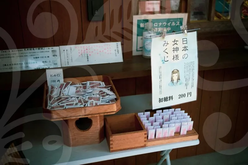 보험비교사이트