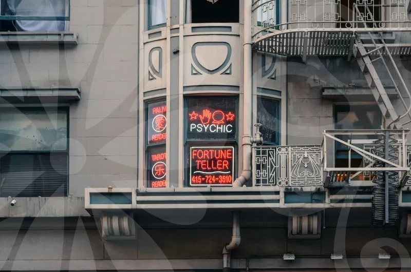 치과보험