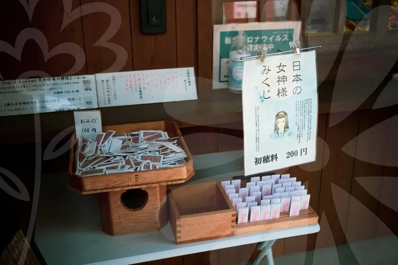 실속보장치아보험