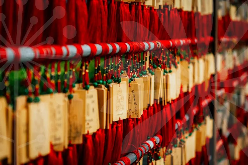 자동차보험료1년