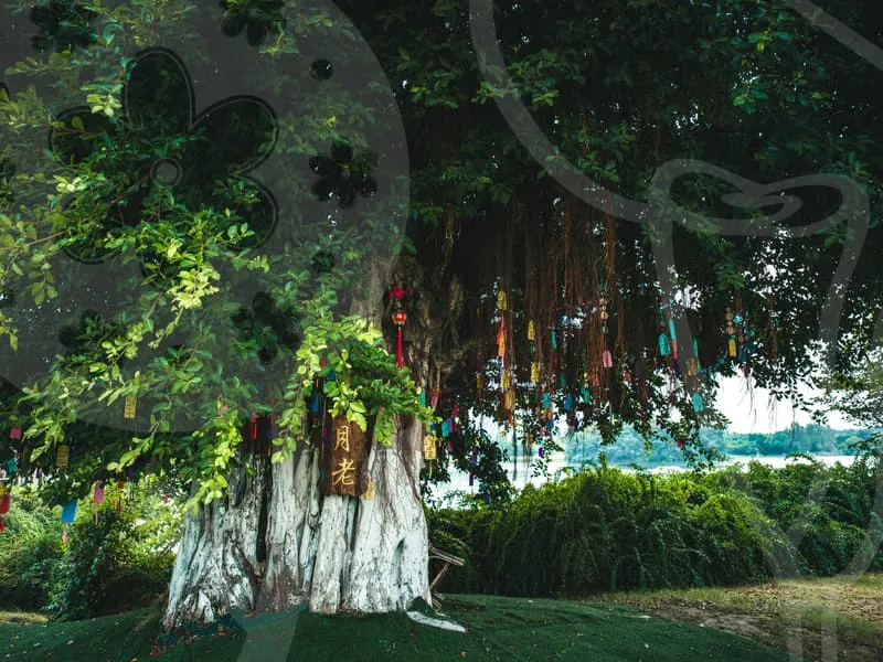 자동차보험료1년