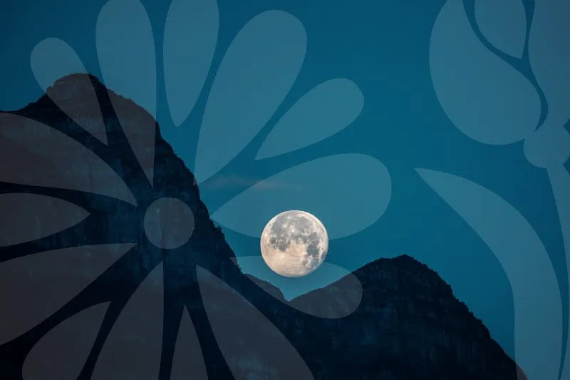 교통사고합의금