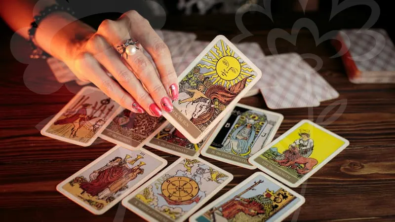 건강보험료납부