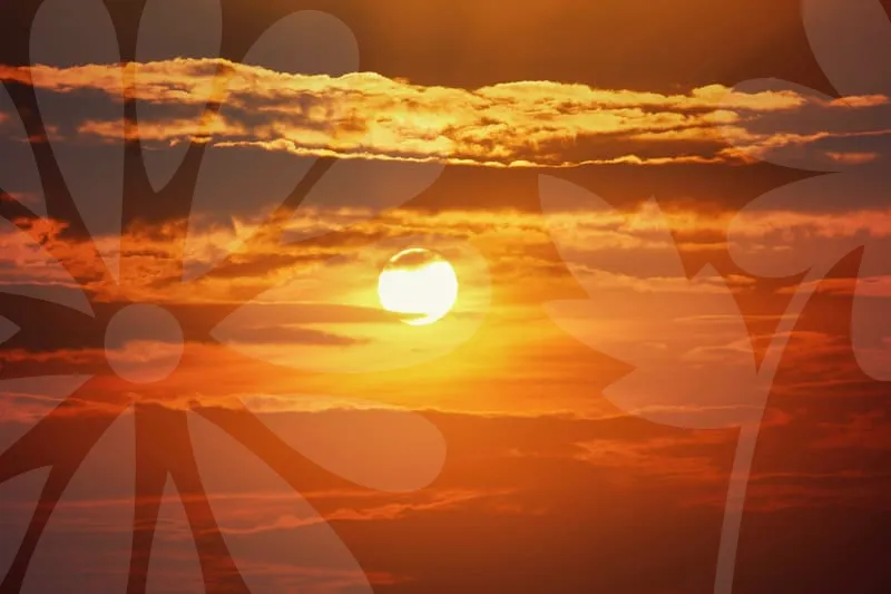 중입자암치료보험