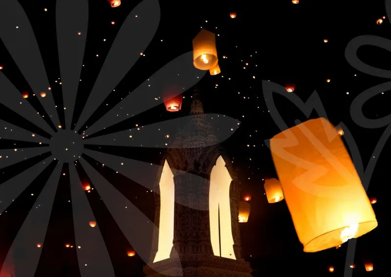 중입자암치료보험