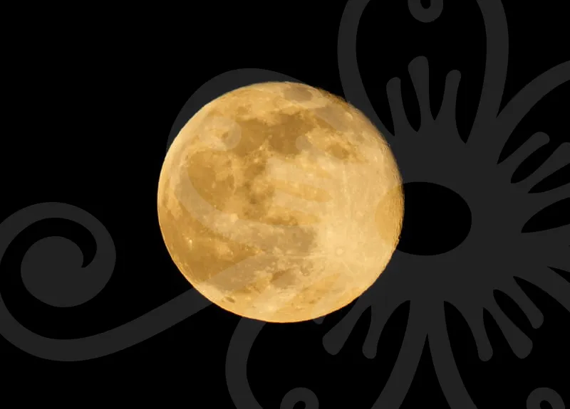 숨은보험금찾기