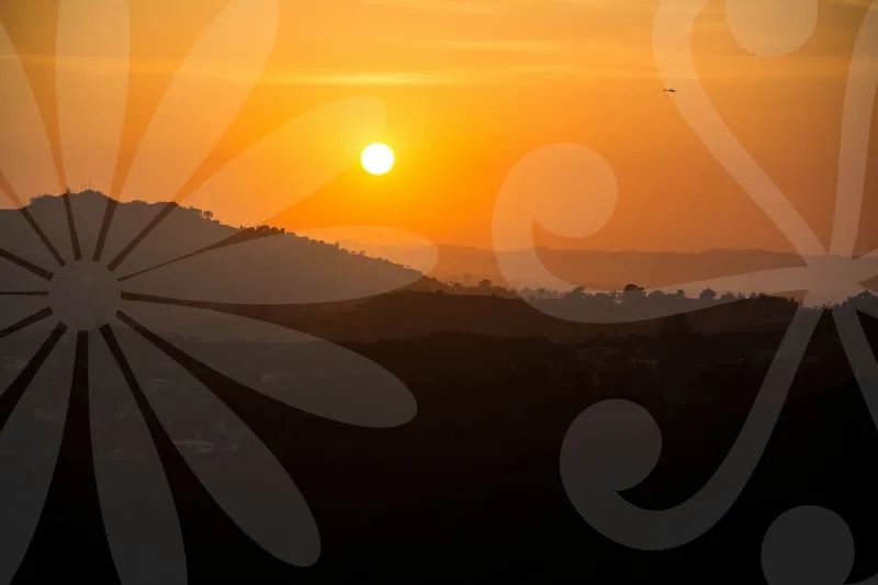 질병수술비보험