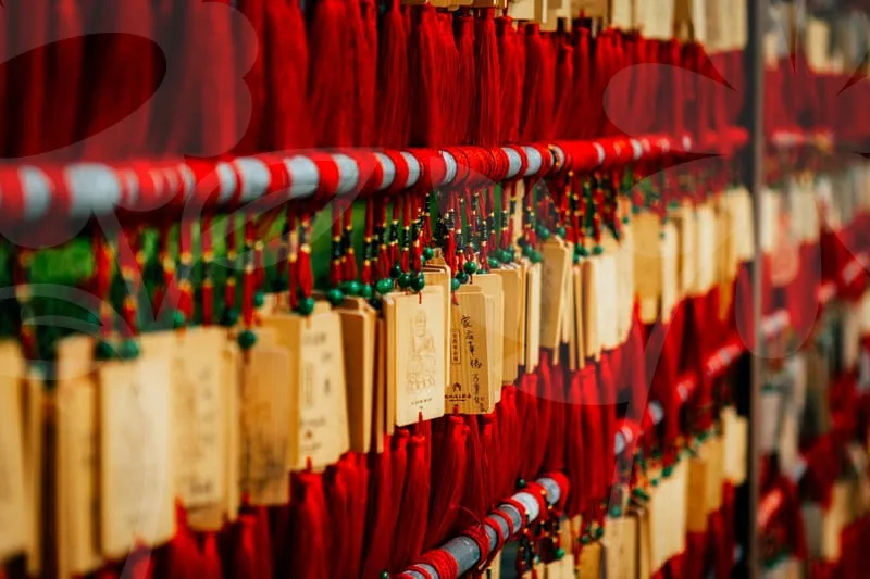 중입자암치료보험