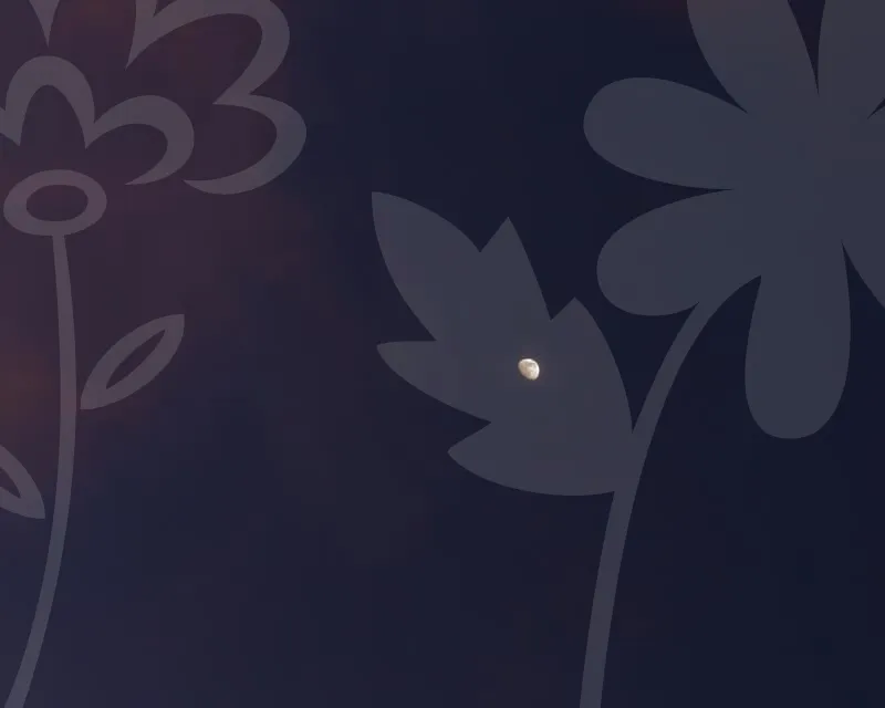 보험비교사이트순위