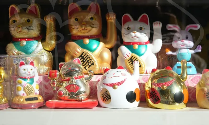 건강