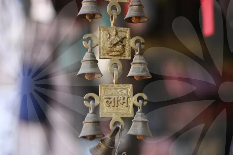 표적항암치료비