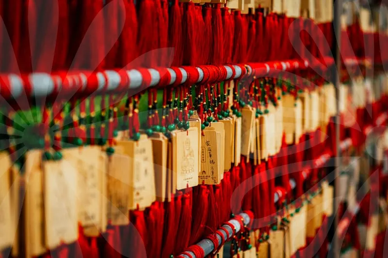 어금니임플란트가격