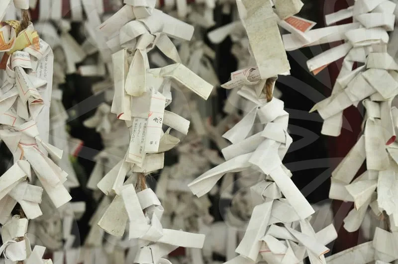 애플사이다비니거