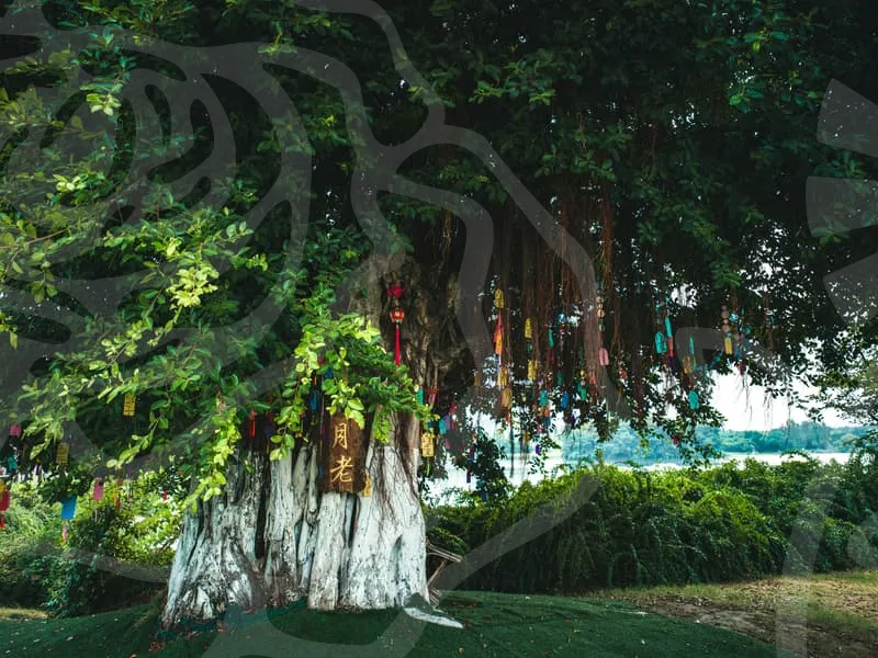 저축성연금보험