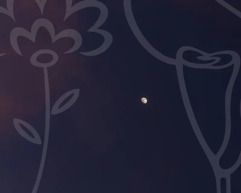 어금니임플란트가격