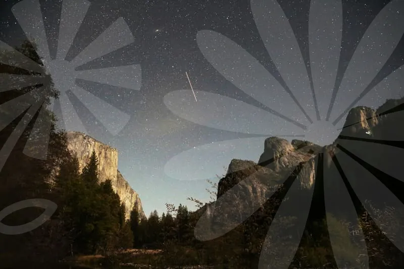 내보험금찾아줌