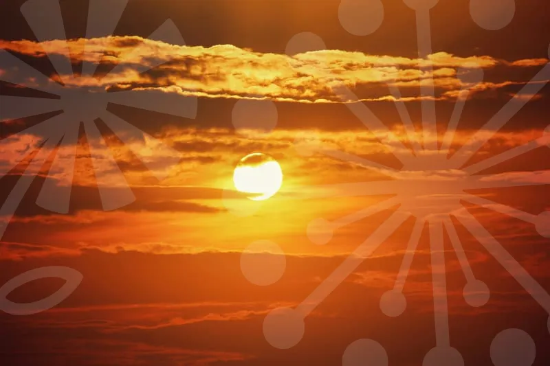 자동차보험료1년