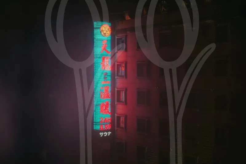 저축성연금보험