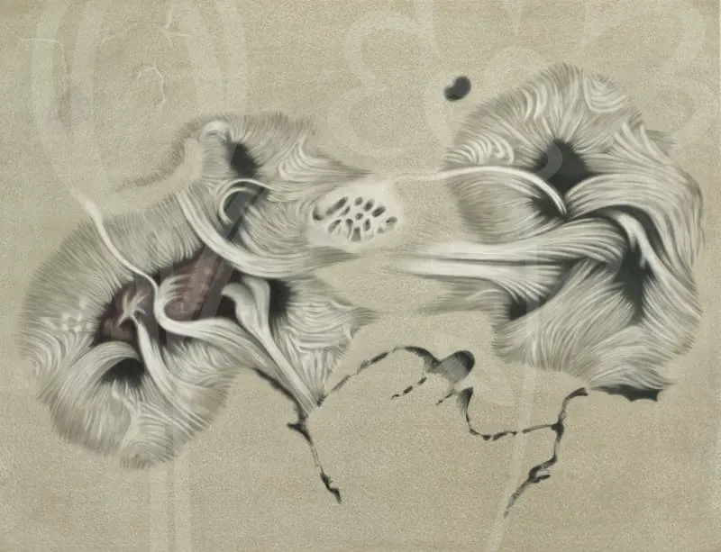 케이비자동차보험