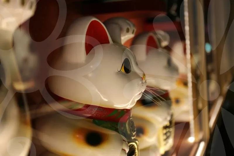 중입자암치료보험