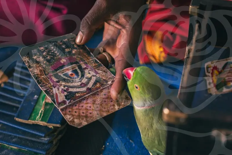 자동차보험료비교