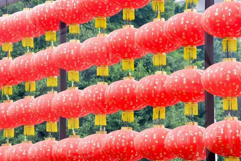 자동차다이렉트