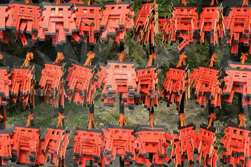 자동차보험조회