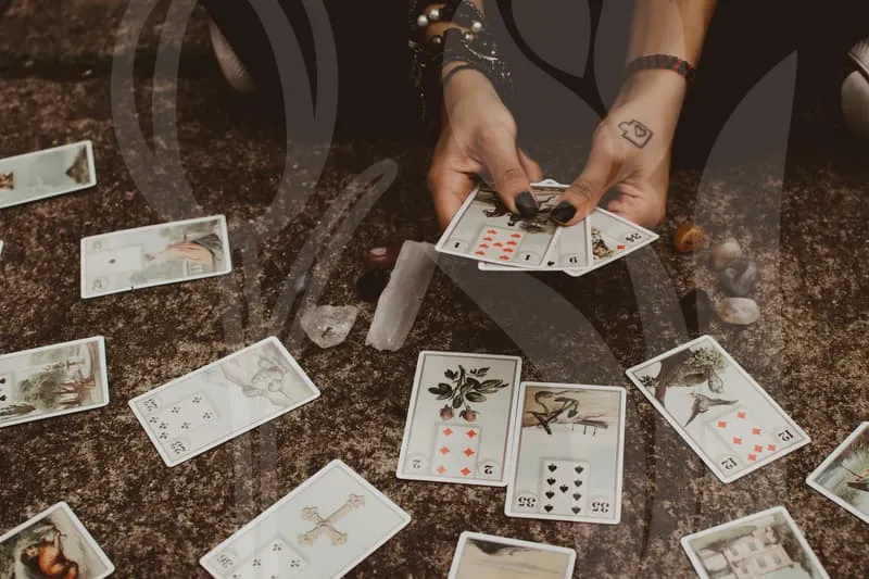 교통사고변호사