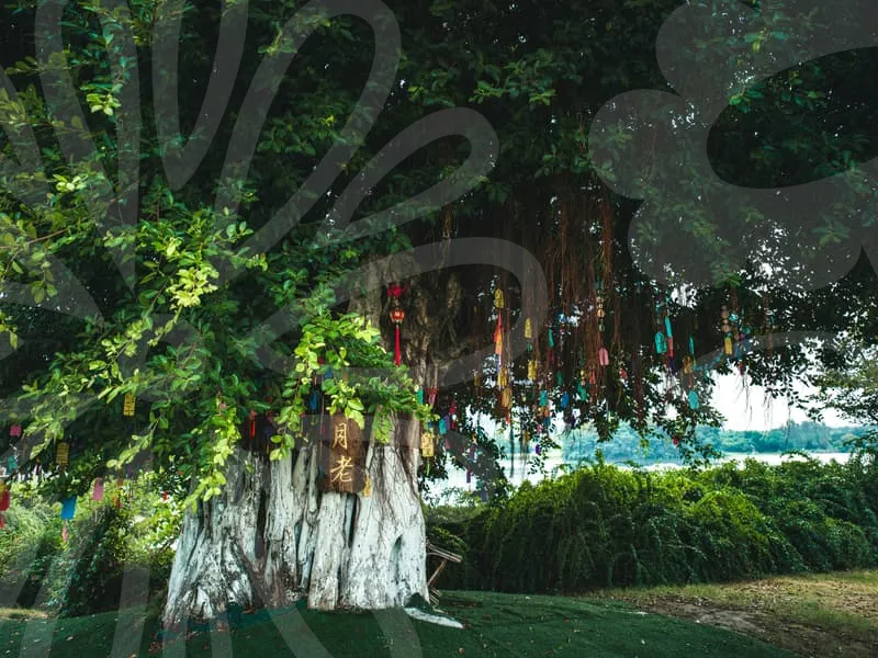 케이비자동차보험