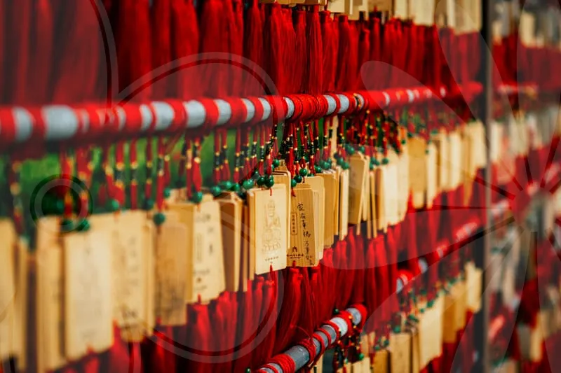 자동차보험비교