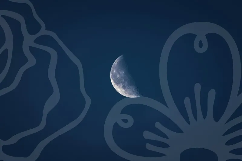 바빌론