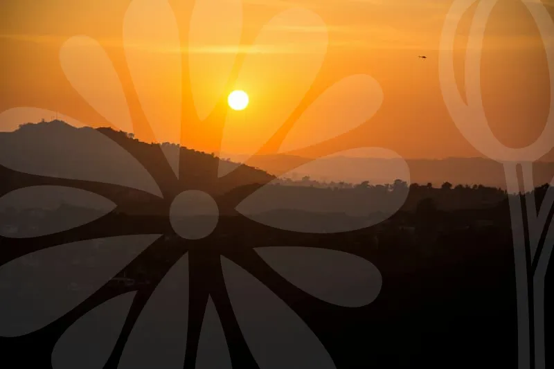 청년창업자금대출