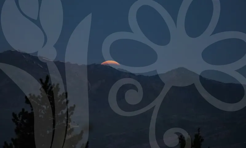 무직자소액대출