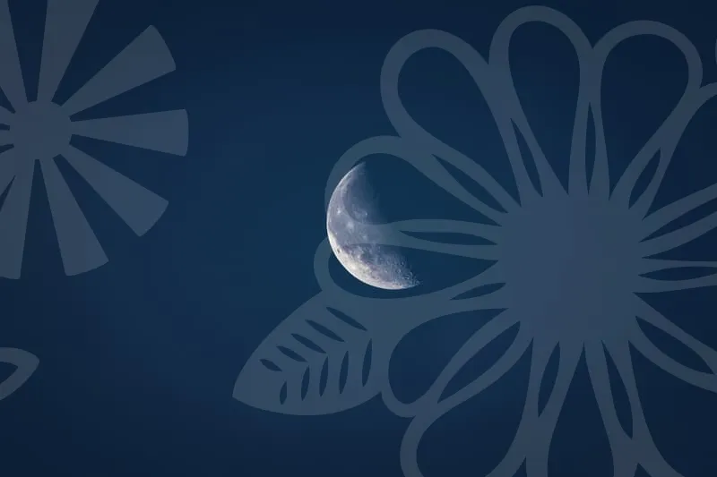 직장인신용대출