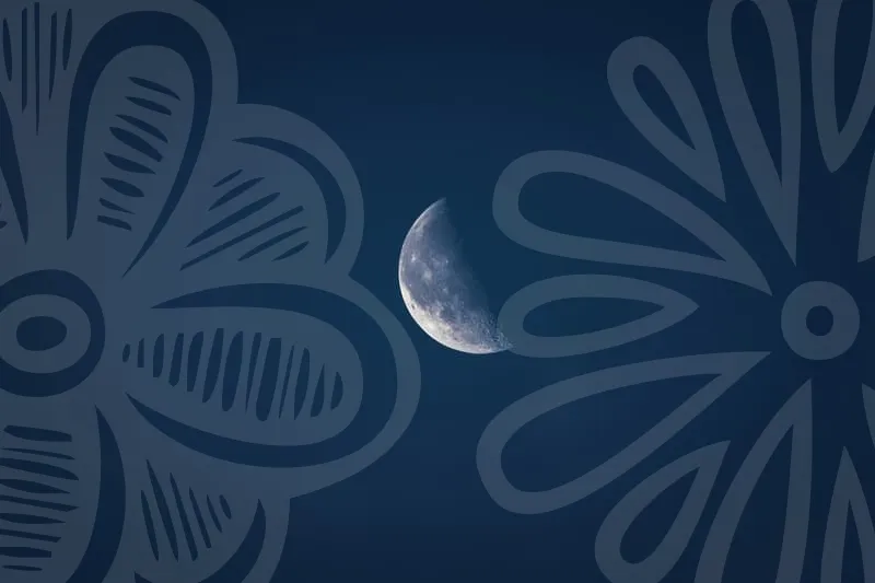 아파트전세대출