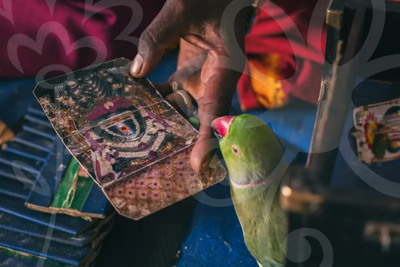 개인사업자대출