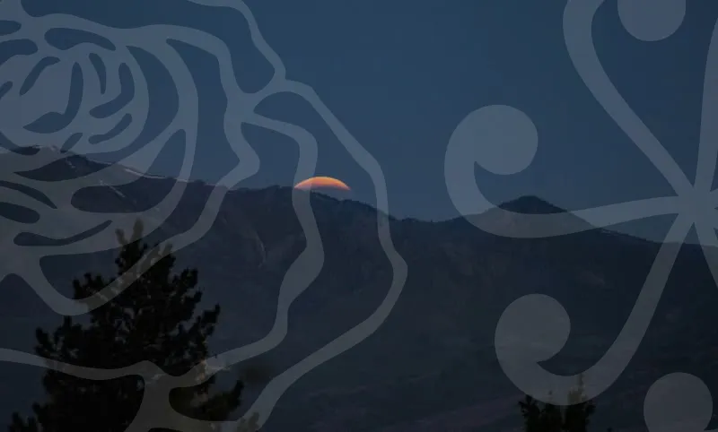 신용보증재단대출